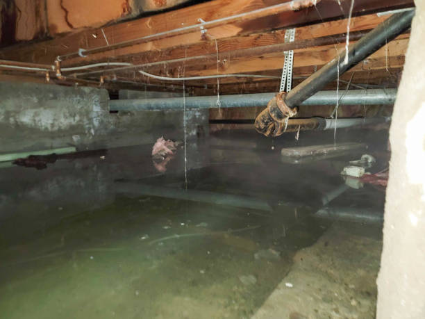 Best Fire Damage Restoration  in Anthony, TX