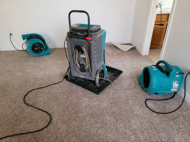 Best Basement water damage restoration  in Anthony, TX