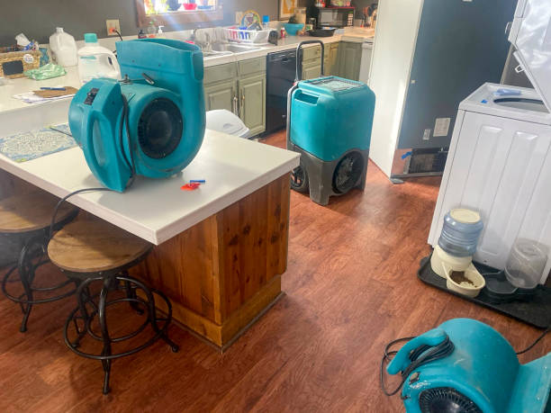 Reliable Anthony, TX Water damage restoration Solutions