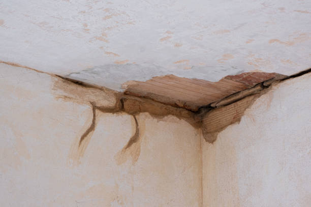 Best Residential water damage restoration  in Anthony, TX