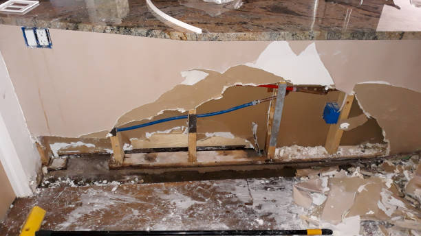 Best Basement water damage restoration  in Anthony, TX
