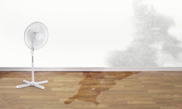 Best 24/7 water damage repair  in Anthony, TX