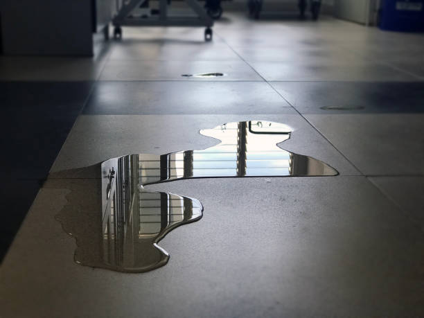 Best Water damage mitigation services  in Anthony, TX