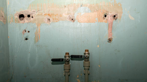 Best Mold removal after water damage  in Anthony, TX