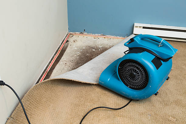 Best Commercial water damage restoration  in Anthony, TX